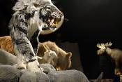 natuurmuseum brabant tilburg 1-2023 6158